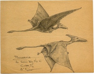 Pterosaurs sketched by eyewitness Eskin Kuhn