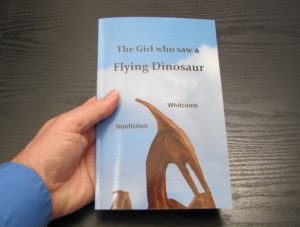 front cover of "The Girl who saw a Flying Dinosaur"